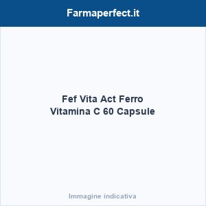 Vero Reishi The Verde 300g ( SCADENZA: 09/19 )