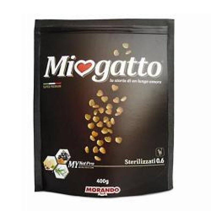 Vero Reishi The Verde 300g ( SCADENZA: 09/19 )