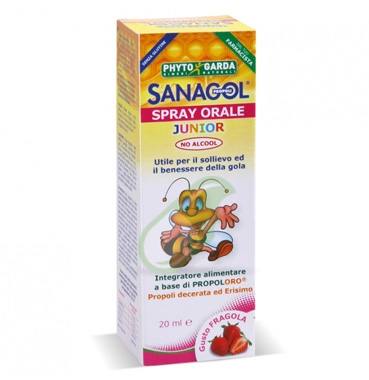 Vero Reishi The Verde 300g ( SCADENZA: 09/19 )