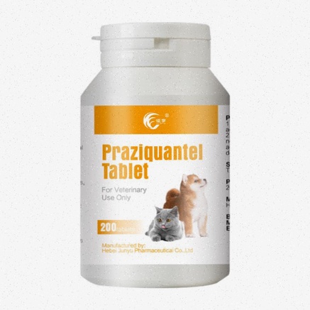 praziquantel